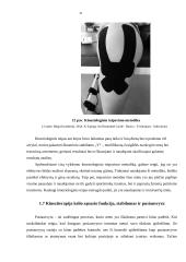 Kineziteipavimo poveikis vaikų kelio sąnario funkcijai, stabilumui, pusiausvyrai 20 puslapis