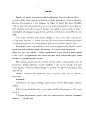 Kineziteipavimo poveikis vaikų kelio sąnario funkcijai, stabilumui, pusiausvyrai 2 puslapis