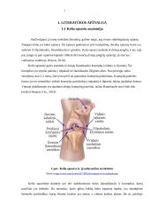 Kineziteipavimo poveikis vaikų kelio sąnario funkcijai, stabilumui, pusiausvyrai 3 puslapis