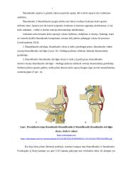 Kineziteipavimo poveikis vaikų kelio sąnario funkcijai, stabilumui, pusiausvyrai 5 puslapis