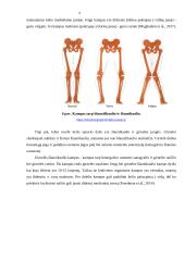 Kineziteipavimo poveikis vaikų kelio sąnario funkcijai, stabilumui, pusiausvyrai 6 puslapis