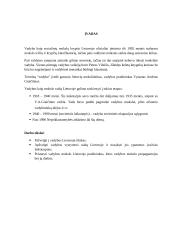 Vadyba Lietuvoje 3 puslapis