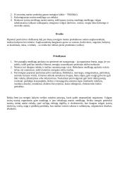 Praktinis darbas. Maisto produktų maistinės ir energetinės vertės analizė 3 puslapis