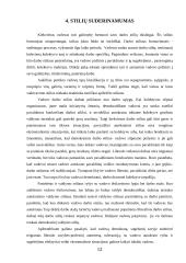 Vadovavimo stiliai 12 puslapis