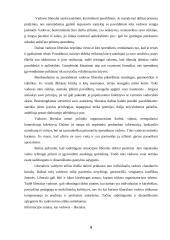 Vadovavimo stiliai 9 puslapis