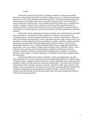 Valstybinis kainų reguliavimas 2 puslapis