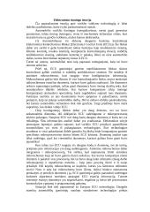 Variklio valdymo programos modifikavimas 3 puslapis