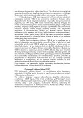 Variklio valdymo programos modifikavimas 4 puslapis