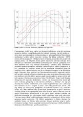 Variklio valdymo programos modifikavimas 8 puslapis
