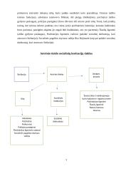 Kliento socialinio tinklo tyrimas ir mobilizavimas 2 puslapis