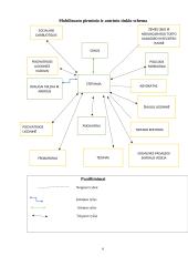 Kliento socialinio tinklo tyrimas ir mobilizavimas 5 puslapis