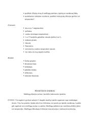 Biologijos pamokos planas. Pamokos tema Augalo ir gyvūno ląstelių sandara 6 puslapis