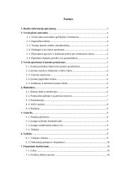 Verslo planas: kavinė "Rojaus kampelis"