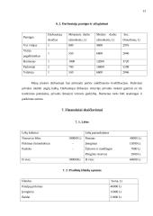 Verslo planas: kavinė "Rojaus kampelis" 13 puslapis