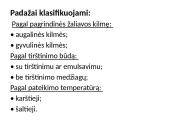 Karštieji padažai, jų klasifikavimas