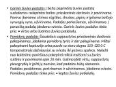 Karštieji padažai, jų klasifikavimas 14 puslapis