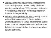 Karštieji padažai, jų klasifikavimas 15 puslapis