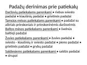 Karštieji padažai, jų klasifikavimas 2 puslapis