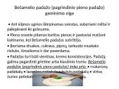Karštieji padažai, jų klasifikavimas 20 puslapis