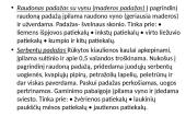 Karštieji padažai, jų klasifikavimas 6 puslapis