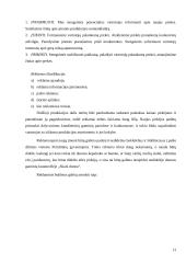 Verslo planas: prekyba duonos gaminiais UAB "Skani duona" 12 puslapis