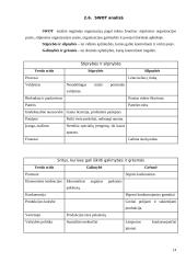 Verslo planas: prekyba duonos gaminiais UAB "Skani duona" 14 puslapis