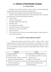 Verslo planas: prekyba duonos gaminiais UAB "Skani duona" 9 puslapis