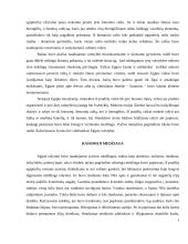 Raštas ir knygos senovės egipte 4 puslapis