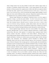 Raštas ir knygos senovės egipte 6 puslapis