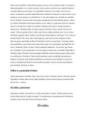 Serialo aprašymas. Talsos Karalius 3 puslapis