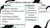 Naftos telkinių susidarymas 2 puslapis