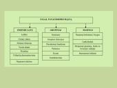 Žemės ūkio sektoriuje naudojamų konsultavimo metodų analizė 3 puslapis