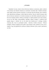 Valstybės tarnyba ir valstybės tarnautojai (referatas) 19 puslapis