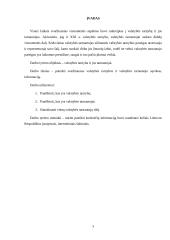 Valstybės tarnyba ir valstybės tarnautojai (referatas) 2 puslapis