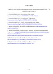 Valstybės tarnyba ir valstybės tarnautojai (referatas) 20 puslapis