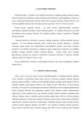 Valstybės tarnyba ir valstybės tarnautojai (referatas) 3 puslapis