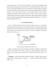 Ekonomikos ciklai ir situacija Lietuvoje 2008 – 2010 m. 5 puslapis