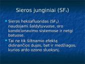 Globalinė klimato atšilimo problema 10 puslapis