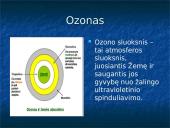 Globalinė klimato atšilimo problema 15 puslapis