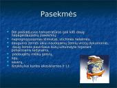 Globalinė klimato atšilimo problema 19 puslapis