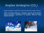 Globalinė klimato atšilimo problema 7 puslapis