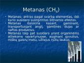 Globalinė klimato atšilimo problema 8 puslapis