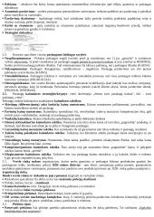 Reklamos paslaugų marketingas 2 puslapis