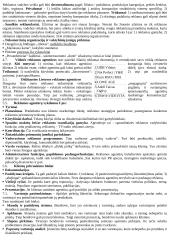 Reklamos paslaugų marketingas 4 puslapis