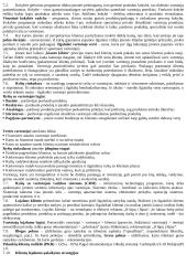 Reklamos paslaugų marketingas 5 puslapis