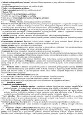 Reklamos paslaugų marketingas 6 puslapis