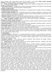 Reklamos paslaugų marketingas 7 puslapis