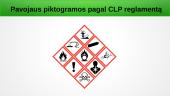 Pavojingų medžiagų ženklinimas 10 puslapis