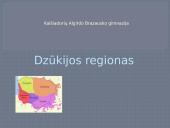 Dzūkijos regionas (skaidrės)
