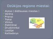 Dzūkijos regionas (skaidrės) 2 puslapis